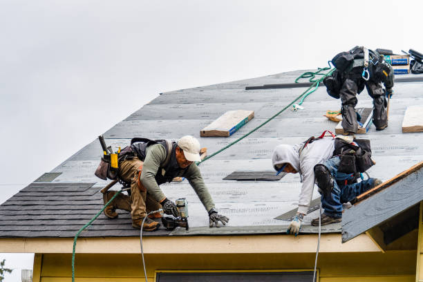 Professional Emergency Roof Repair technician working in Lorraine, NY